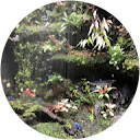 Widiyati Wilian profile picture