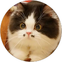 Maeve profile picture